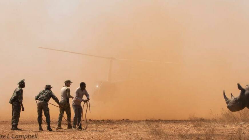 Helicopter in Hoedspruit doing anti rhino poaching work in conservation