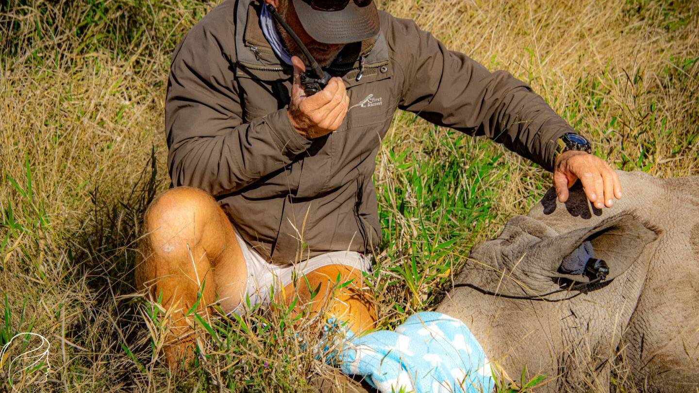 helicopter pilot in Hoedspruit with rhino doing conservation work and helping with anti-poaching