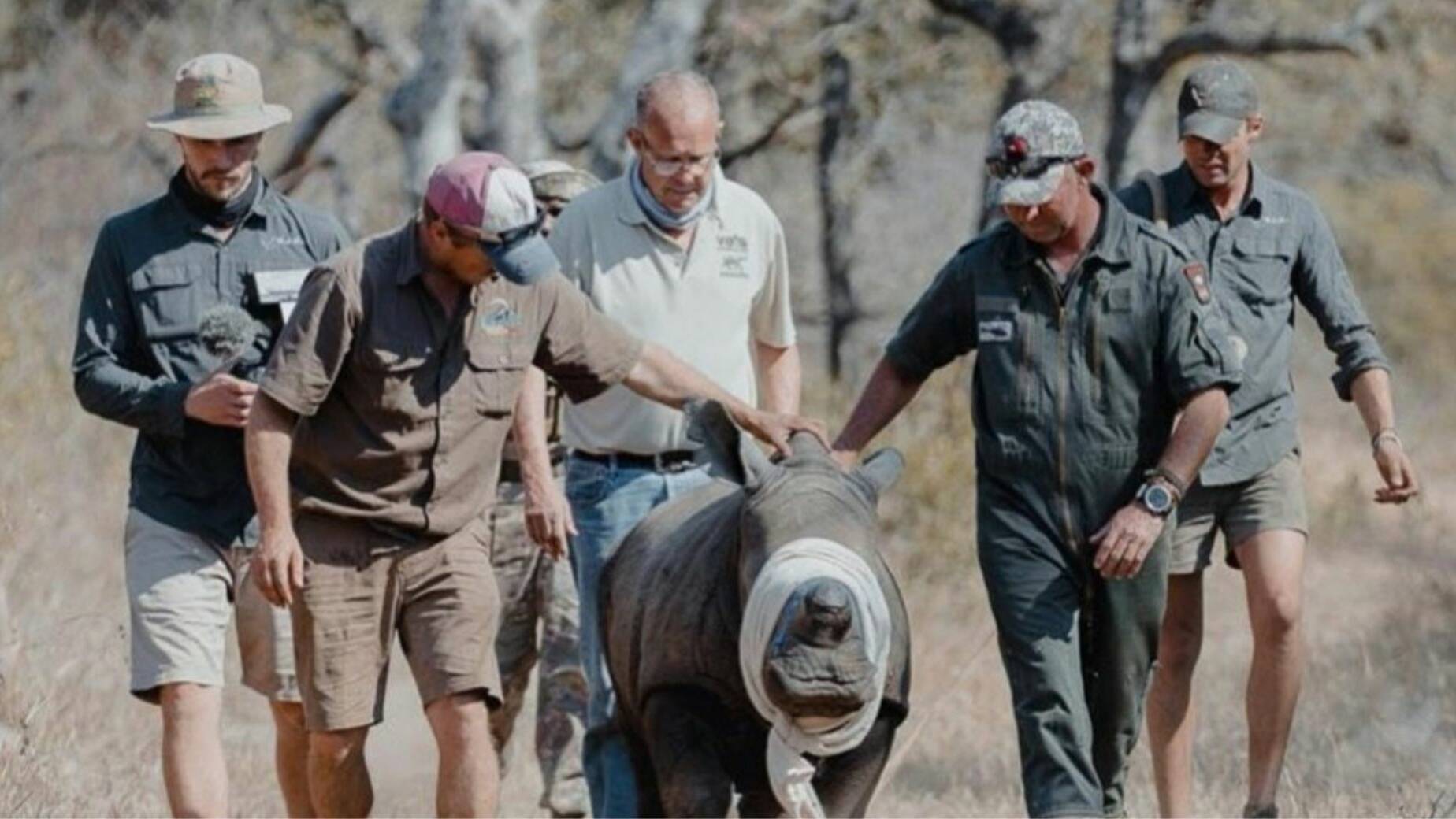 rhino conservation work with helicopter pilot
